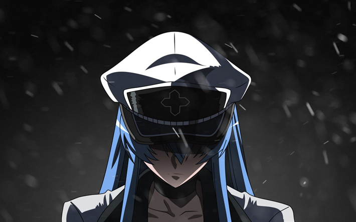 Akame ga Kill, Esdeath, Japanese manga, characters, portrait, art