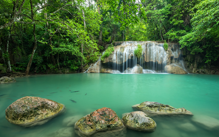 hermoso verde, lago, cascada, bosque tropical, Tailandia, piedras, selva