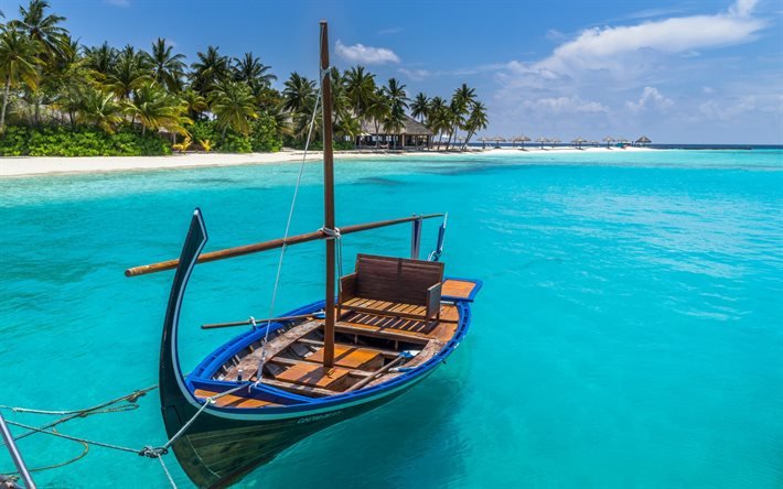 Isola tropicale, barca, Maldives, spiaggia, estate, vacanza