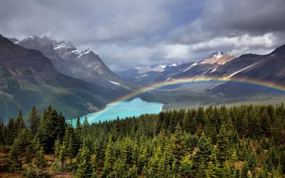 mountain glacial lake, rainbow, mountain landscape, forest, Canada