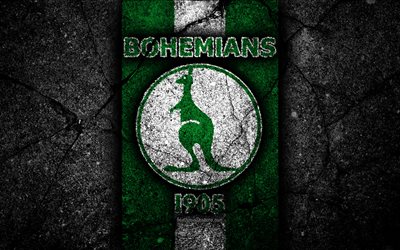 4k, Bohemians 1905 FC, emblem, football, Czech football club, black stone, 1 Liga, Bohemians 1905, Czech Republic, asphalt textures, Czech First League, soccer, FC Bohemians 1905