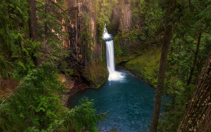Toketee Falls, Nord Umpqua River, roccia, cascata, lago, Douglas County, Oregon, stati UNITI