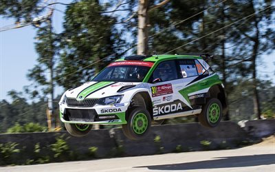 Andreas Mikkelsen, 4k, WRC, rally, jump, FIA World Rally Championship, Skoda Motorsport, Skoda Fabia WRC