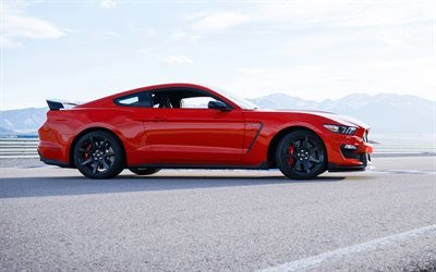 Ford Mustang, Shelby GT350, Sports car, red Mustang, tuning Mustang, racing car, Ford