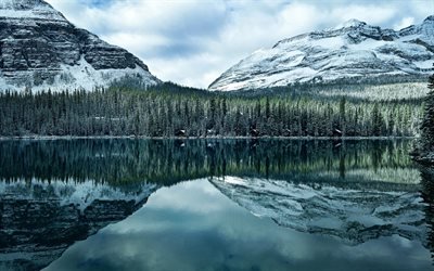 Lago O&#39;Hara, Lago de montanha, floresta, noite, montanhas, Canadian Rockies, Hector, Canada, British Columbia