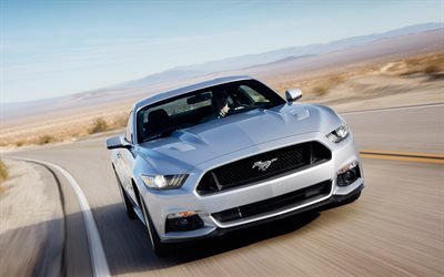 Ford Mustang, front view, silver Mustang, road, speed, Ford