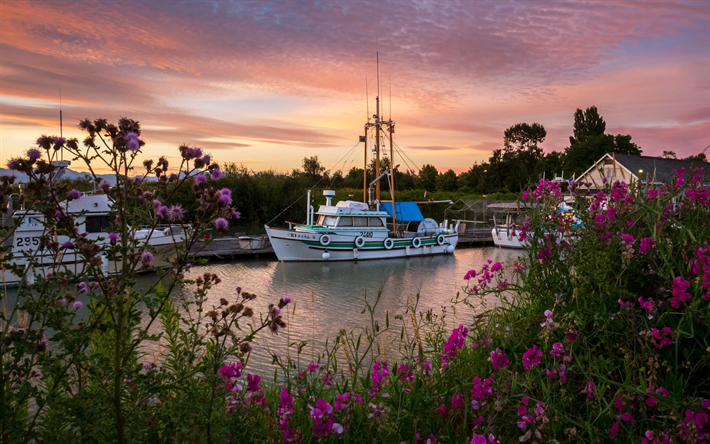 White boats, dock, sunset, rose bushes, Marinas, Canada