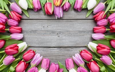 Pink tulips, wild flowers, heart of tulips, boards, beautiful flowers, tulips