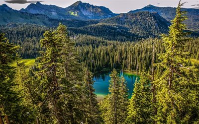 Forest lake, mountains, forest, mountain lake, Mount Rainier National Park, Pearce County, United States, Washington