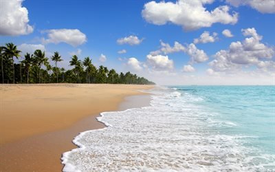 Ocean, beach, tropics, waves, summer, summer vacation, tropical islands, palm trees