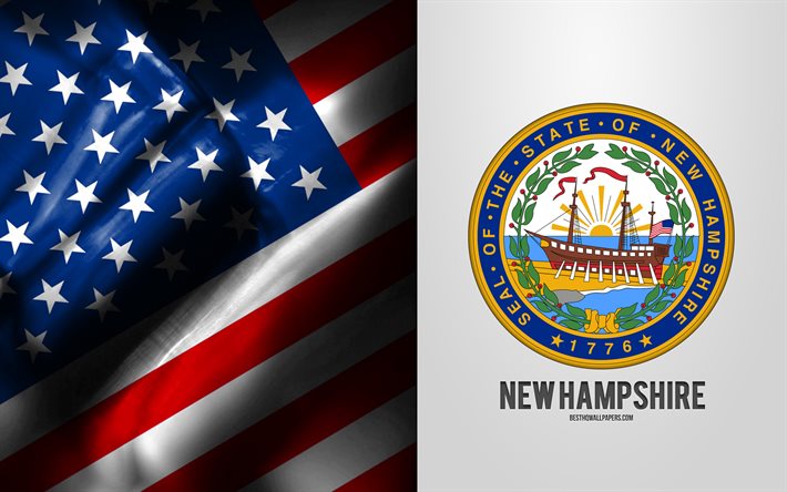 Selo de New Hampshire, bandeira dos EUA, emblema de New Hampshire, bras&#227;o de New Hampshire, bandeira americana, New Hampshire, EUA