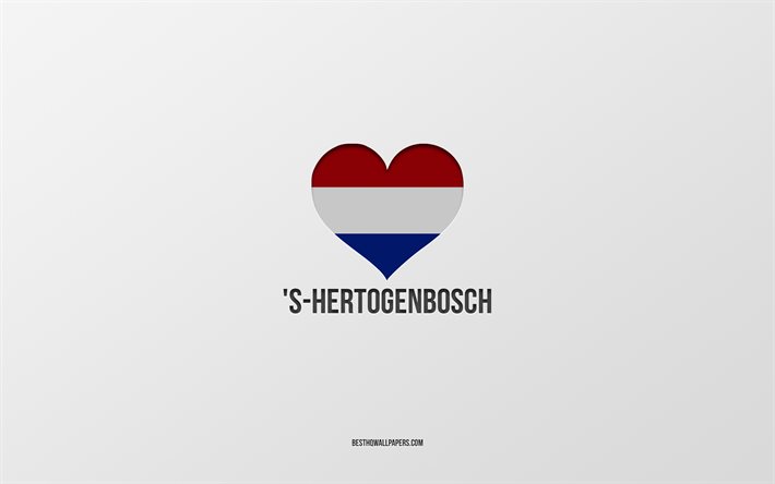 I Love s-Hertogenbosch, cidades holandesas, Dia de s-Hertogenbosch, fundo cinza, s-Hertogenbosch, Holanda, cora&#231;&#227;o da bandeira holandesa, cidades favoritas, Love s-Hertogenbosch