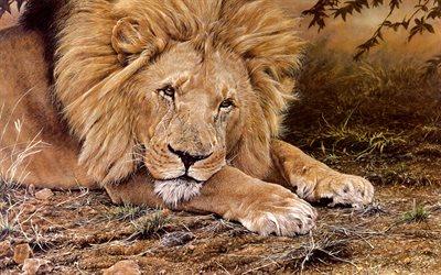 leão, áfrica, a vida selvagem, animais selvagens, leões, pintado leão