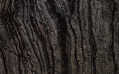 musta puinen rakenne, makro, puinen taustat, l&#228;hikuva, puinen tekstuurit, musta tausta, ruskea puu, musta puinen tausta