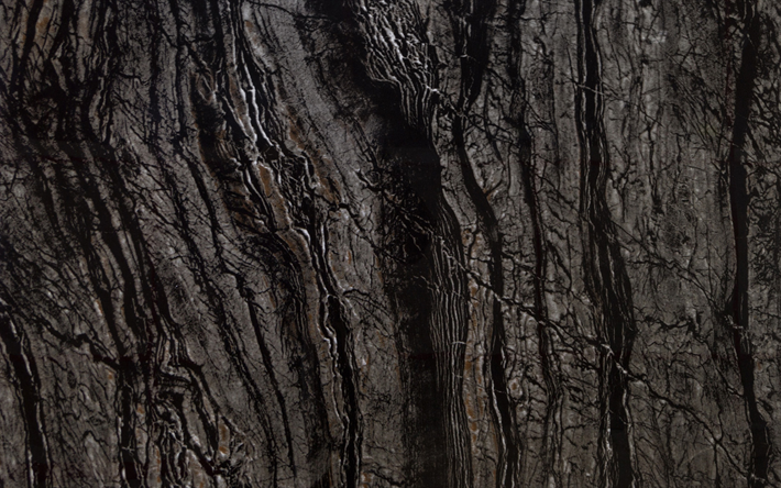 en bois noir, texture, macro, en bois de milieux, close-up, en bois, textures, fond noir, bois, brun, noir, arri&#232;re-plan en bois