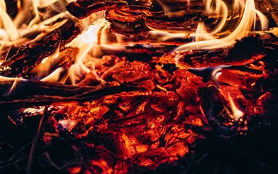 fire flames, 4k, macro, burning coals, bonfire, burning tree, fire, coals, fire textures, burning coal textures, smoldering coals, background with burning coals, background with fire