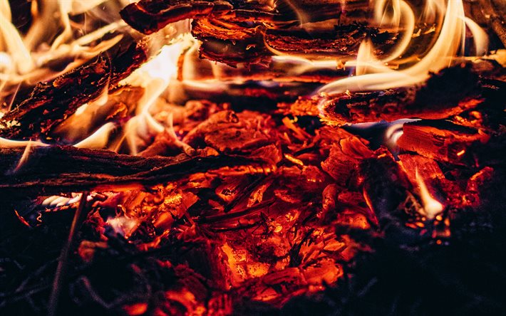 fiamme di fuoco, 4k, macro, carboni ardenti, fal&#242;, albero ardente, fuoco, carboni, texture di fuoco, texture di carbone ardente, sfondo con carboni ardenti, sfondo con il fuoco