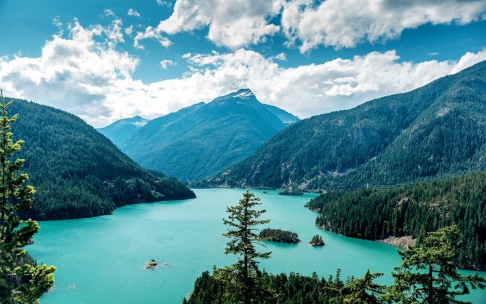 Ross Lake, skogen, berg, sommar, Washington, USA, Amerika