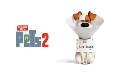 Max, 4k, perro de dibujos animados, La Vida Secreta de los animales 2, cartel, 2019 pel&#237;cula