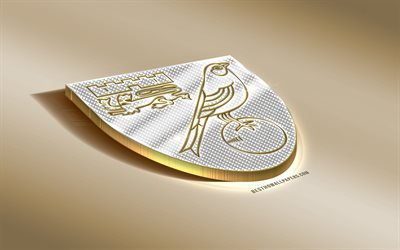 Il Norwich City FC, club di calcio inglese, oro argento logo, Norwich, in Inghilterra, EFL Campionato, 3d, dorato, emblema, creative 3d di arte, di calcio