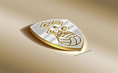 Rotherham United FC, English football club, golden silver logo, Rotherham, England, EFL Championship, 3d golden emblem, creative 3d art, football