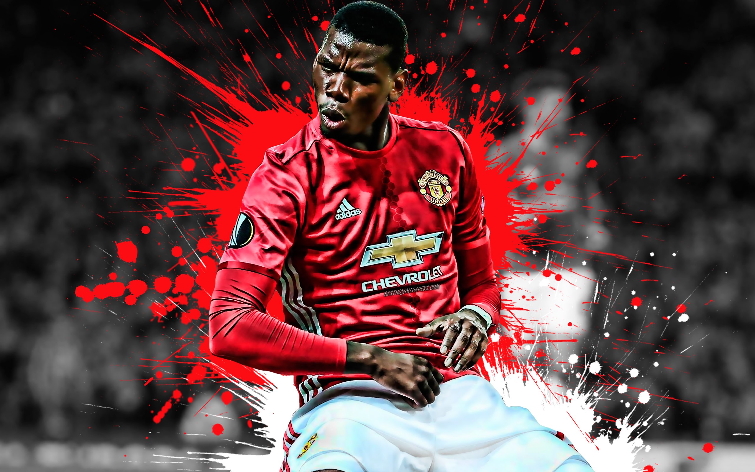 Download wallpapers Paul Pogba, Manchester United FC, french football  player, midfielder, joy, goal, portrait, Premier League, England, football  for desktop with resolution 2560x1600. High Quality HD pictures wallpapers