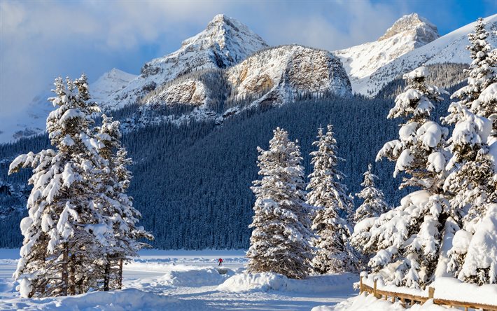 4k, Banff, montagne innevate, Alberta, inverno, cumuli di neve, Nord America, Banff National Park, splendida natura, Canada