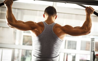 gym, fitness, pull-up on the bar, back muscles, workout, pumping back muscles, shoulder exercise