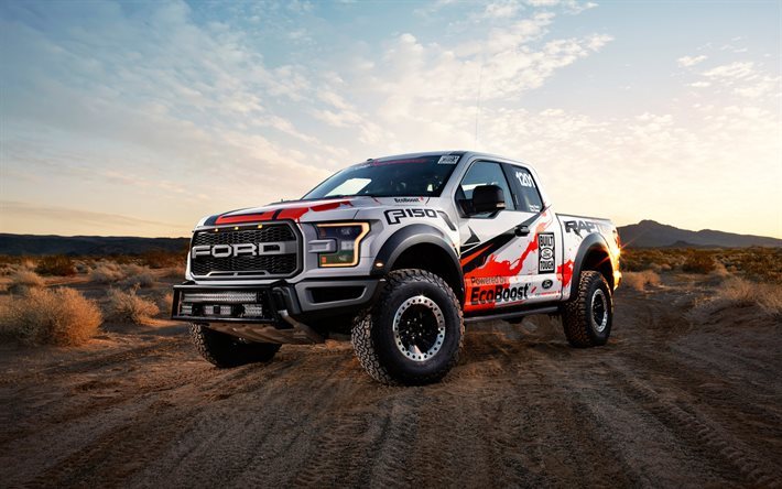Ford F-150 Raptor, 2016, SUV, camionnette, camion, tuning Ford