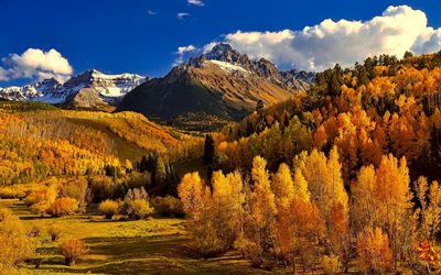 outono, paisagem de montanha, montanhas, floresta, amarelo &#225;rvores, Colorado, EUA