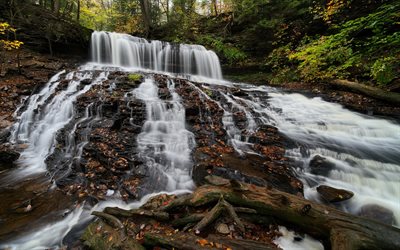 Mohawk Falls, waterfall, forest, rock, autumn, Ricketts Glen State Park, Pennsylvania, USA