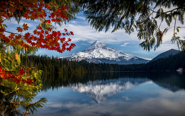 Mount Hood, stratovolcano, Lost Lake, Mount Hood National Forest, North America, USA, Oregon, Cascade Mountains