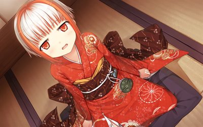 Monobeno, red kimono, characters, art, visual novel