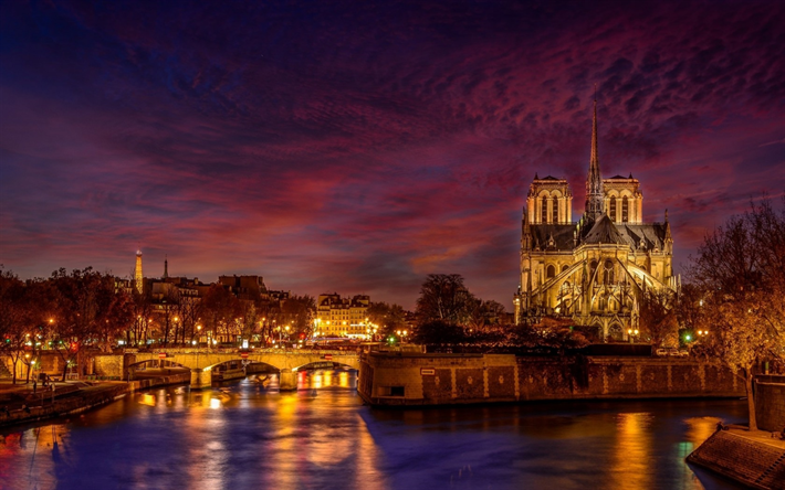 Notre Dame de Paris, Catholic cathedral, evening, autumn, river, city lights, landmark, Paris, France
