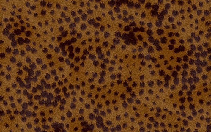 gepardi ihon tekstuuri, l&#228;hikuva, gepardi rakenne, ruskea tahra rakenne, makro, cheetah iho, cheetah tausta, gepardi villa, gepardi nahka tausta, ihon tekstuurit