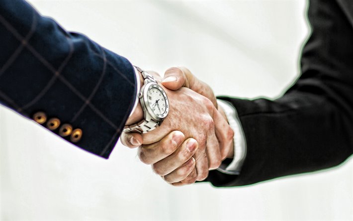 business-handshake, gesch&#228;ftsleute, h&#228;nde sch&#252;tteln, business-konzepte, handshake, besch&#228;ftigen sich konzepte