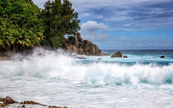 Seychellerna, Indiska Oceanen, storm, stora v&#229;gor, havet, palmer, Polisen Bay