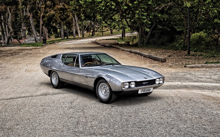 Jaguar Pirana, Bertone 1967, exterior, vista de frente, plata E-Type de 1967, plata Pirana, Brit&#225;nico retro cars, Jaguar