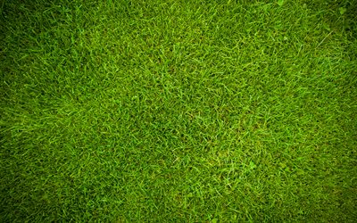 العشب الأخضر الملمس, 4k, مصنع القوام, العشب خلفيات, قرب, العشب القوام, العشب الأخضر, الأخضر الخلفيات, ماكرو, العشب من أعلى