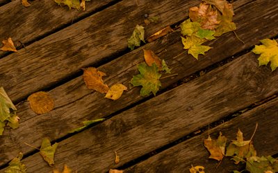 texture de bois, les feuilles d&#39;automne, de bois, de vieilles planches, feuilles jaunes, de vieux bois, de la texture