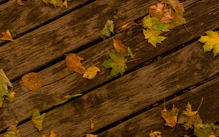 texture de bois, les feuilles d&#39;automne, de bois, de vieilles planches, feuilles jaunes, de vieux bois, de la texture