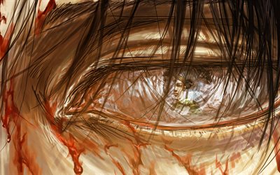 Erwin Smith, Levi Ackerman eye, artwork, Attack on Titan, Levi Ackerman, manga, Shingeki no Kyojin