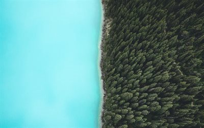 湖, 森林, 木, 水, カナダ, バンフ