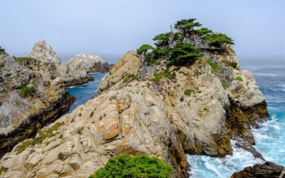 rocky coast, meri, aallot, kivi&#228;, merimaisema, aamulla, myrsky