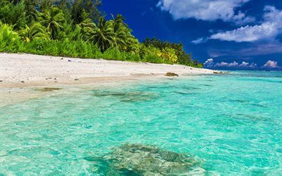 tropical islands, spiaggia, palme, sabbia, azzurro acqua, oceano, Maldives