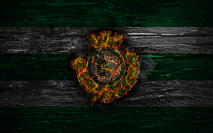 Vitoria Setubal FC, fire logo, Primeira Liga, green and white lines, Portuguese football club, grunge, football, soccer, logo, Vitoria Setubal, wooden texture, Portugal