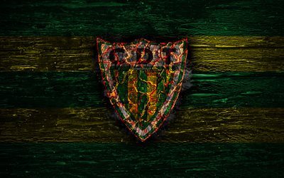 Tondela FC, fire logo, Primeira Liga, green and yellow lines, Portuguese football club, grunge, football, soccer, logo, CD Tondela, wooden texture, Portugal