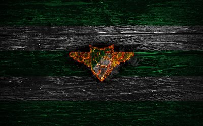 Moreirense FC, fire logo, Primeira Liga, green and white lines, Portuguese football club, grunge, football, soccer, logo, Moreirense, wooden texture, Portugal