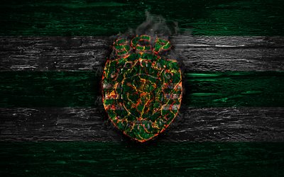 Sporting FC, fire logo, Primeira Liga, green and white lines, Portuguese football club, grunge, football, soccer, logo, Sporting CP, wooden texture, Portugal