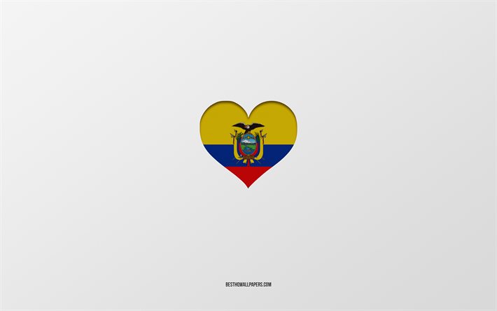 I Love Ecuador, Pays d’Am&#233;rique du Sud, &#201;quateur, fond gris, Coeur de drapeau &#233;quatorien, pays pr&#233;f&#233;r&#233;, Love Ecuador